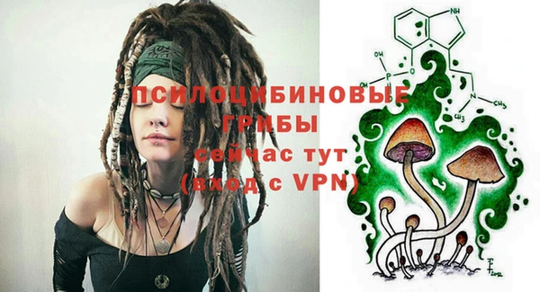 не бодяженный Абдулино
