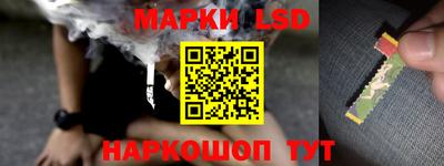СК Рузаевка