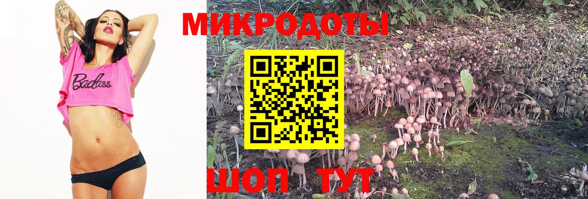 Галлюциногенные грибы Psilocybe Азов